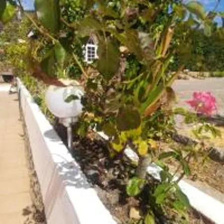 Charming With Pool, Mountain View In Monchique, 50sqm Appartement